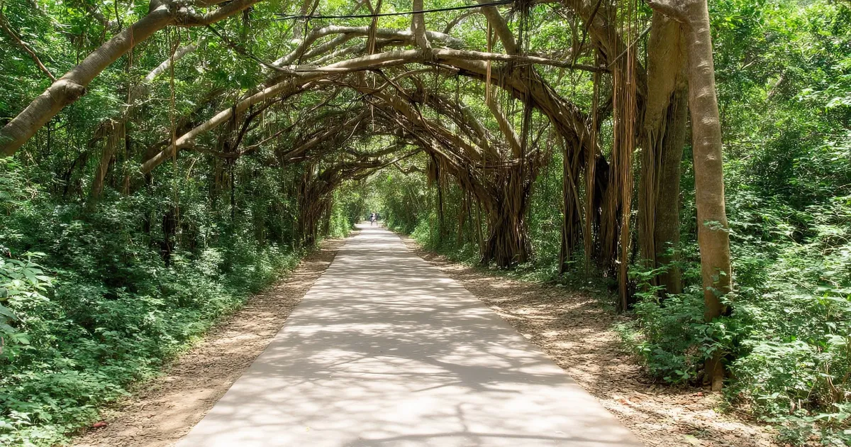 Image of Biscayne National Park