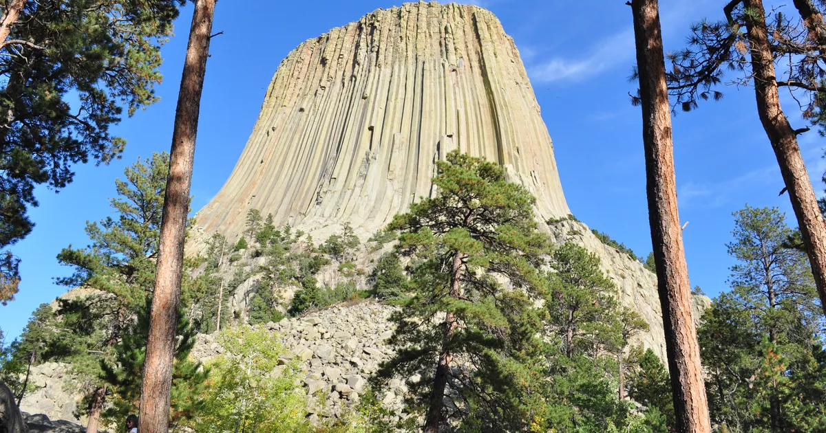 Devils Tower looming above the trees