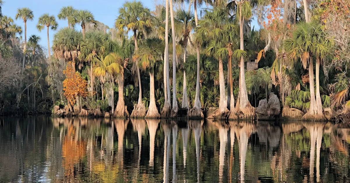 Image of Everglades National Park