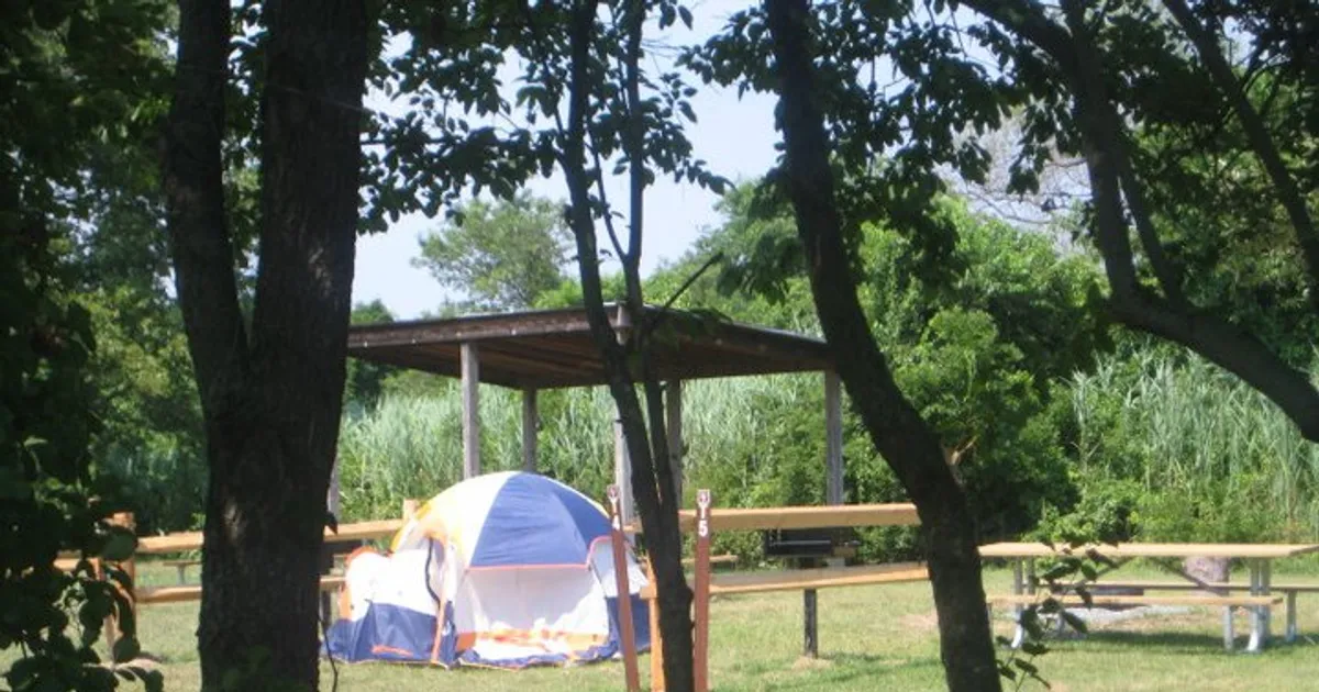 Tent at  Floyd Bennett Field campsite in Gateway's Jamaica Bay unit.