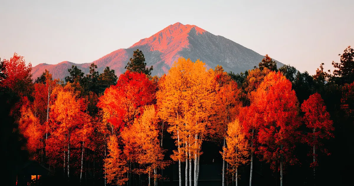 Image of Great Basin National Park