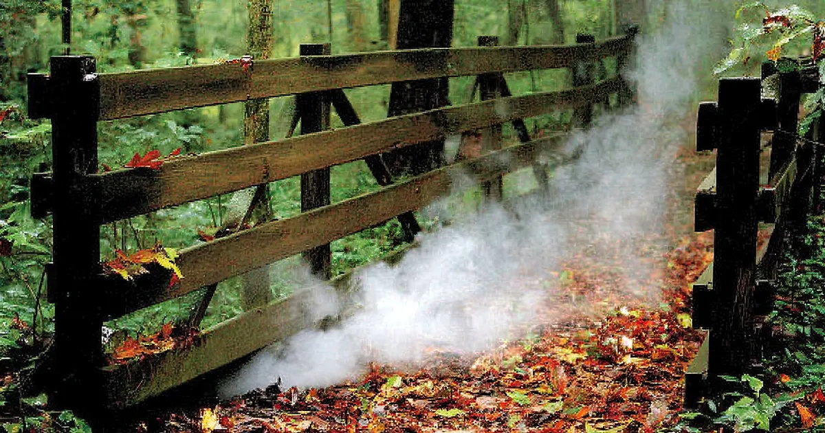 Image of Hot Springs National Park