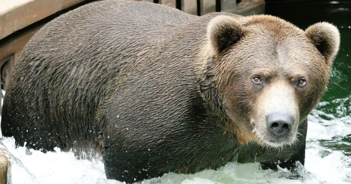 Image of Katmai National Park Preserve