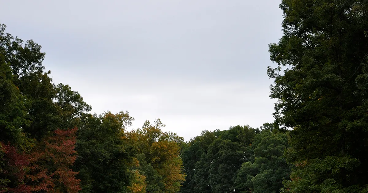 A slightly curvy section of the Natchez Trace Parkway in Early Fall