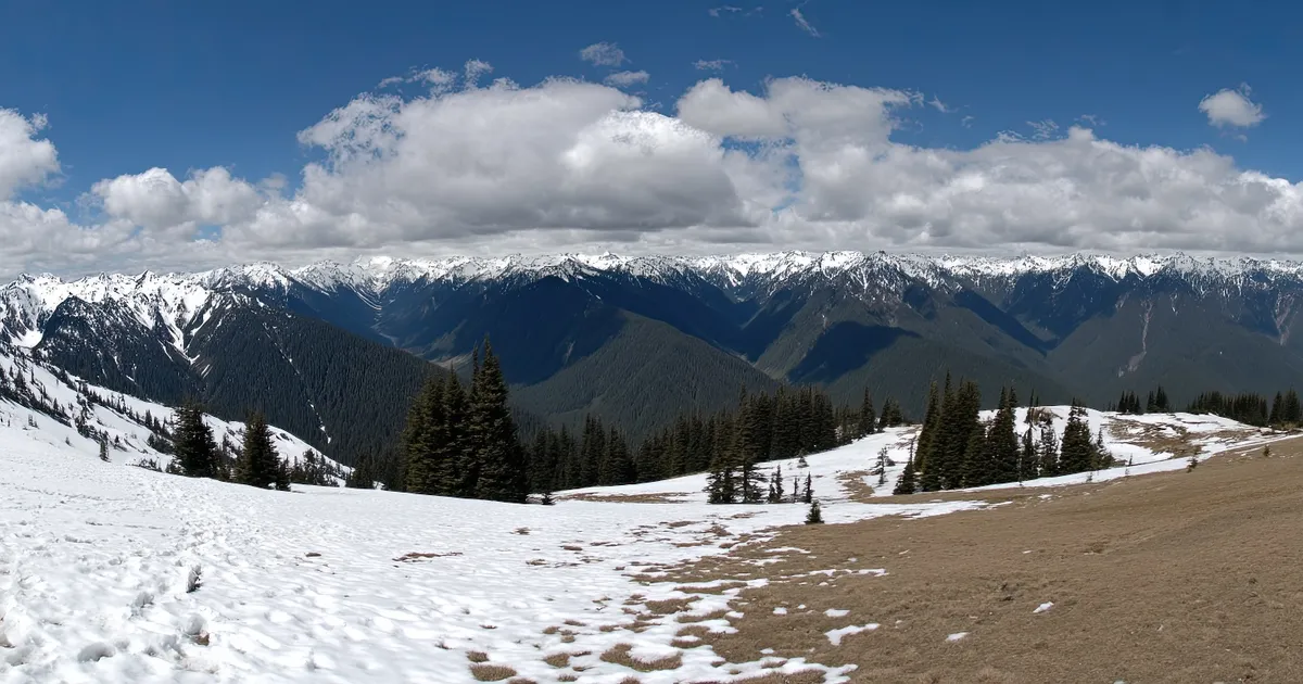 Image of Olympic National Park