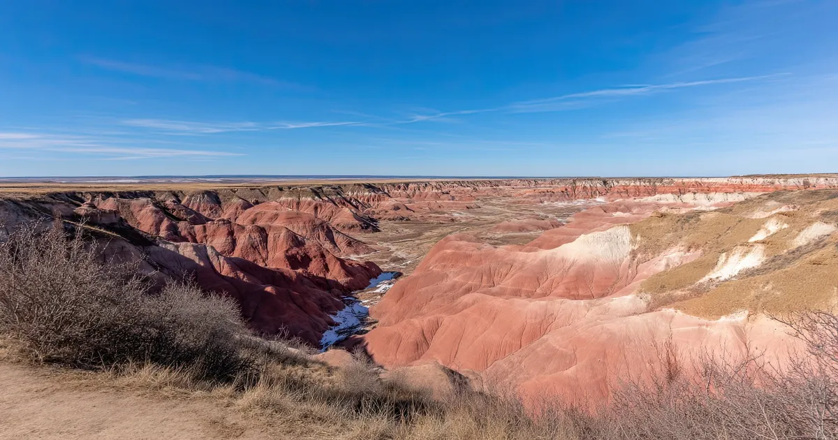 Image of Petrified Forest National Park