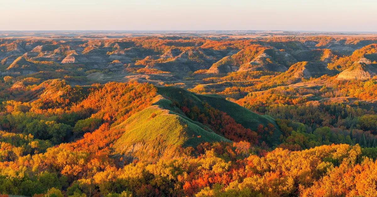 Painted badlands and bison in Theodore Roosevelt National Park